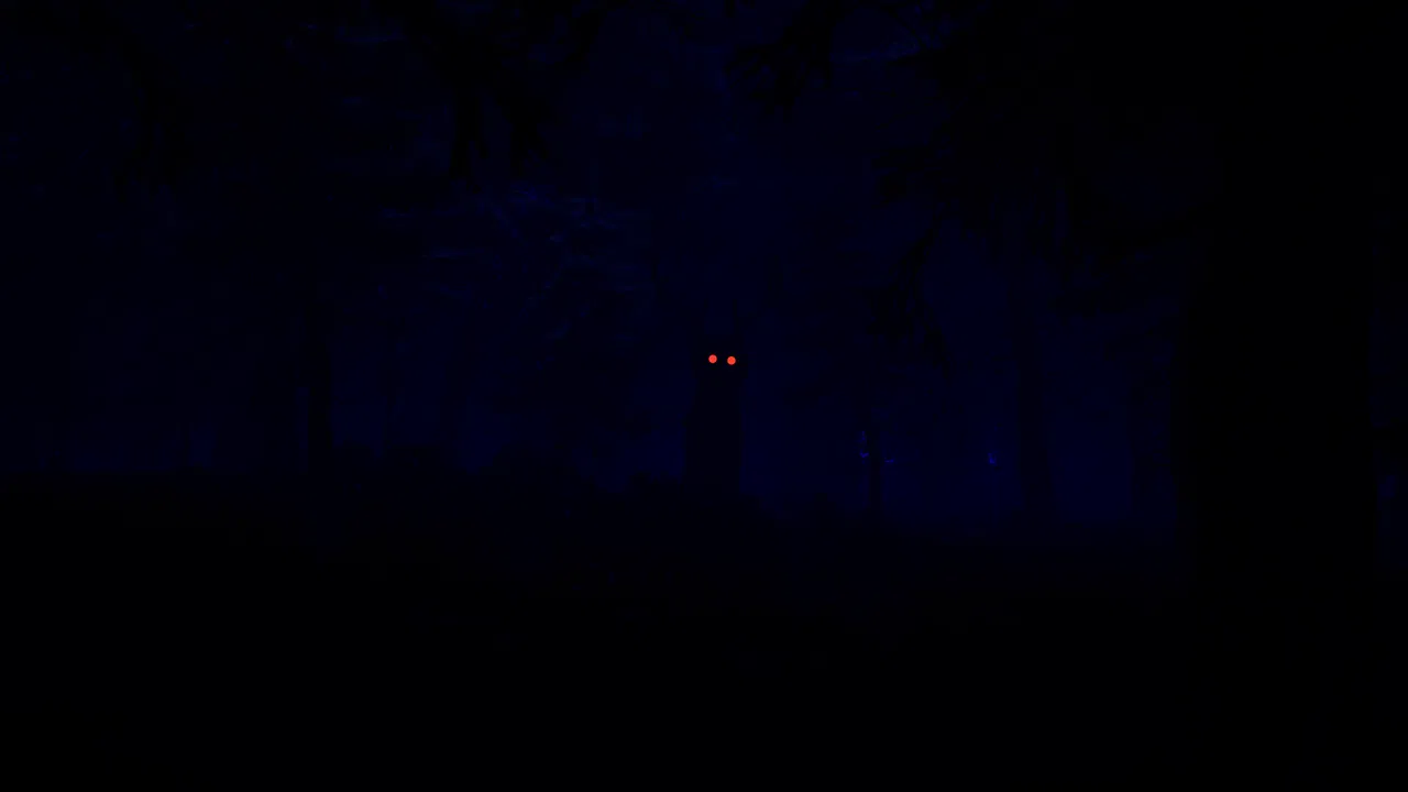 88 NIGHTS IN THE FOREST Screenshot 3