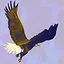 Swoop! icon