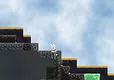 Bunny Dusty Screenshot 3