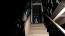 Still Hope Screenshot 3