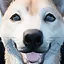 Is That… A Pendant? icon