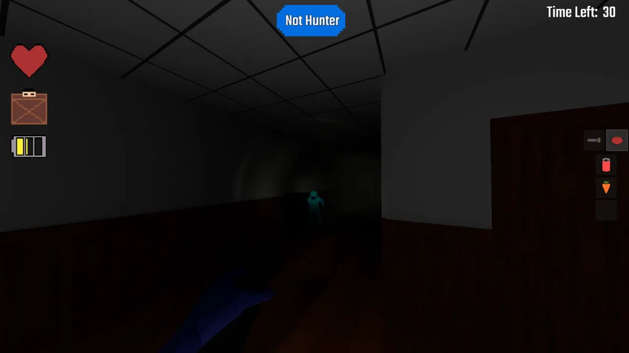 Dark Halls Screenshot 2