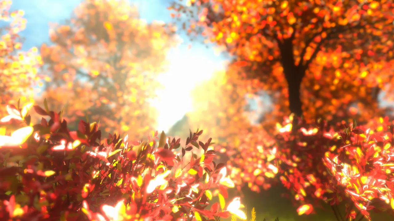 紅葉の泣き声 Screenshot 0