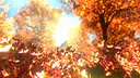 紅葉の泣き声 Screenshot 0