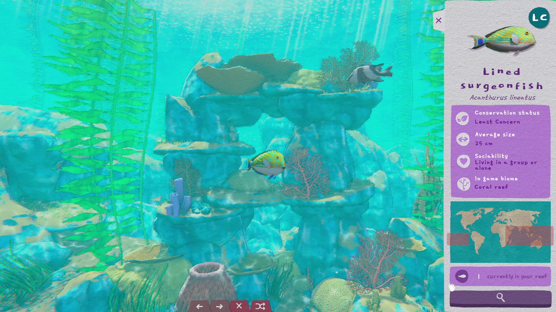 Turquoise Screenshot 2