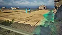Beach Life Simulator Screenshot 12