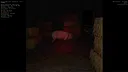 Lily's Lil Barn Yard! Screenshot 5