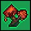 Flower of Fire icon