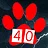 Room 40