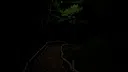 Haunted: Village Demo Screenshot 0