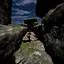 Entity icon