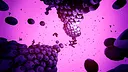 INORBS Screenshot 5