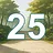 25 level completed