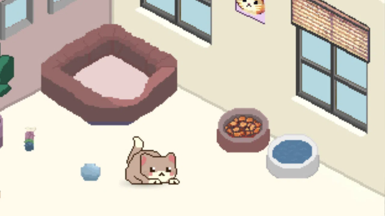 Cozy Cat Screenshot 1