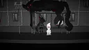 Provoron Demo Screenshot 4