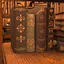 A Closed Book icon