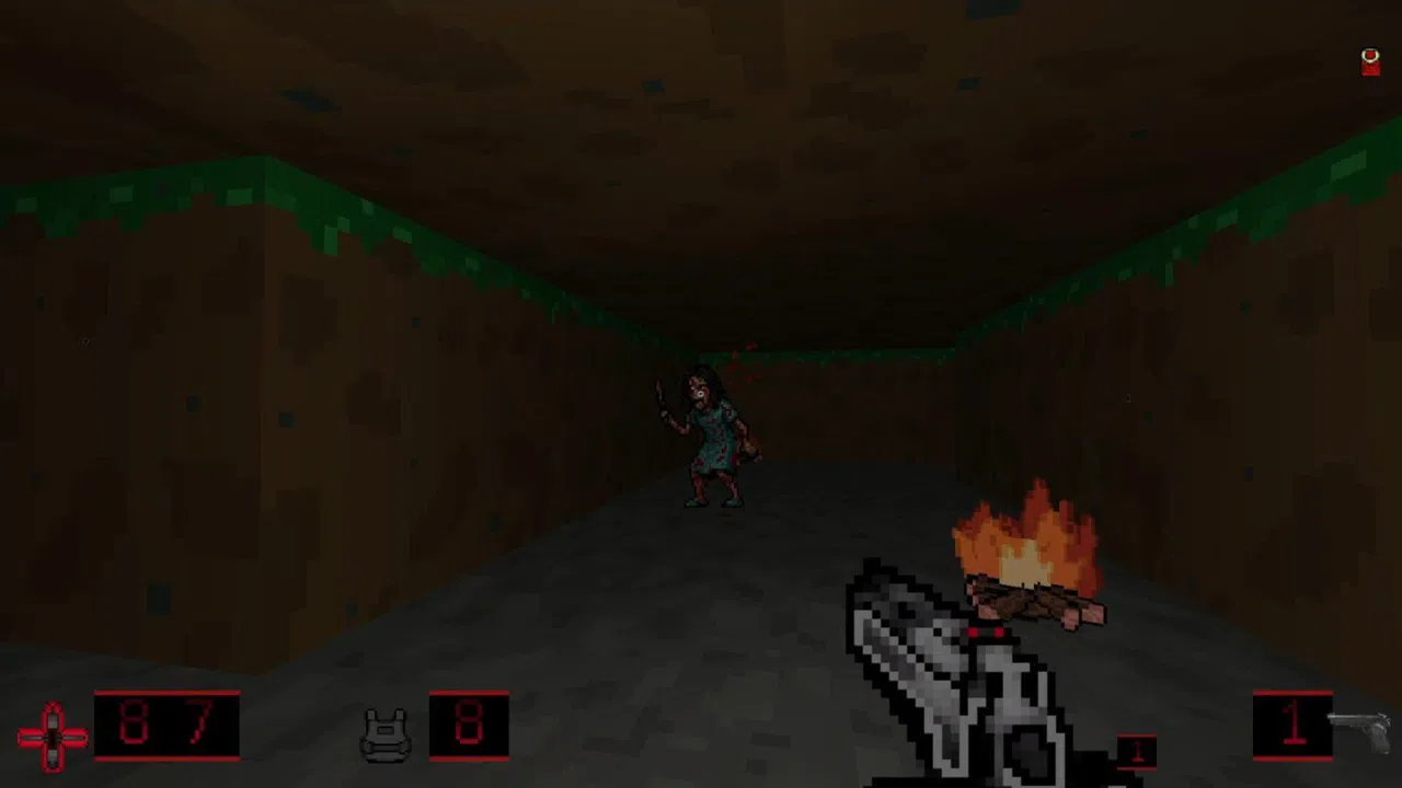 Open Close Door Screenshot 4