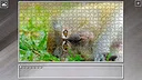Super Jigsaw Puzzle: Generations - Thailand Screenshot 12