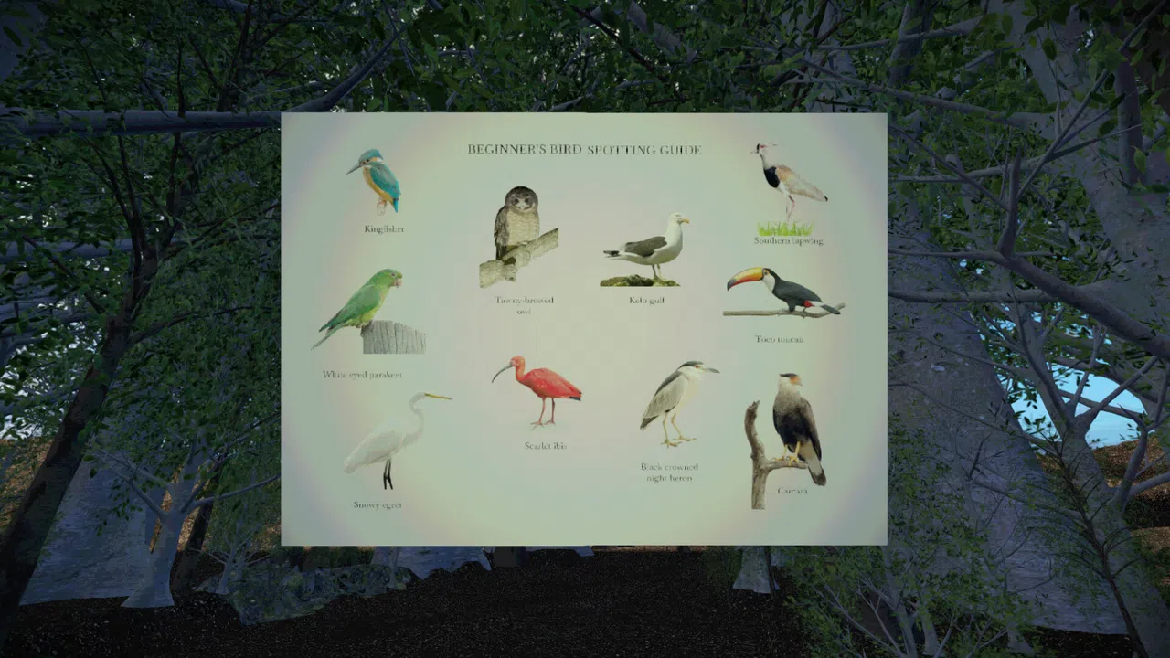 Birdwatching Screenshot 1
