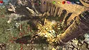 Ghost Dragon III Screenshot 6