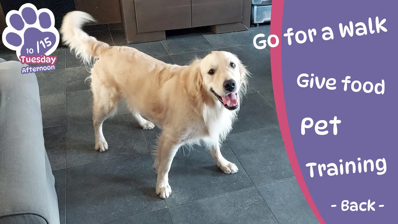 Golden Retriever Simple Life Screenshot 0