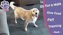 Golden Retriever Simple Life Screenshot 0