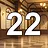 22 level completed