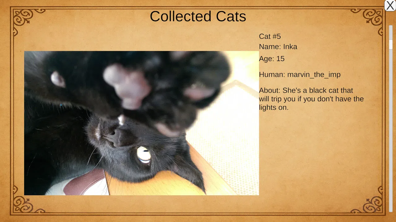 Kael's Cat Summoner Screenshot 3