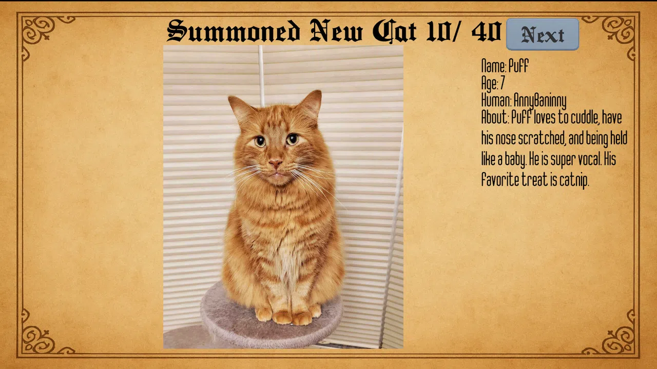 Kael's Cat Summoner Screenshot 1