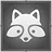 Raccoon Friend