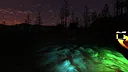 Fox Pines Screenshot 2