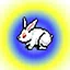 宠物厉牙 icon