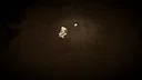 Adapta Solva Screenshot 0