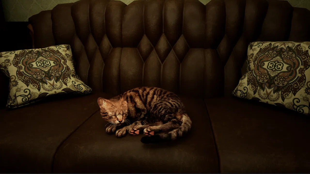 Meowmories Screenshot 6