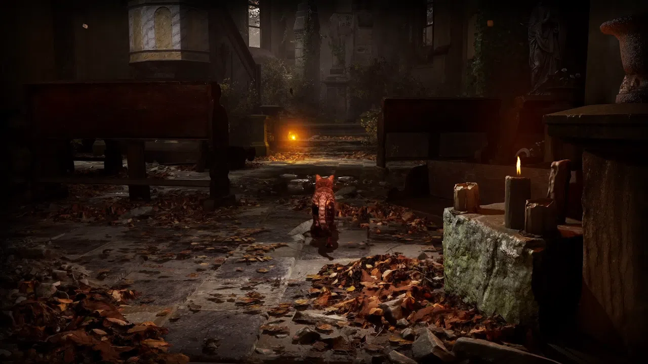 Meowmories Screenshot 3