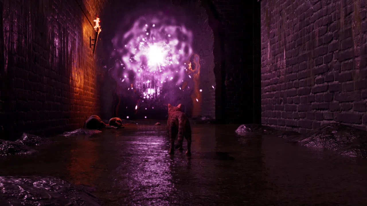 Meowmories Screenshot 2