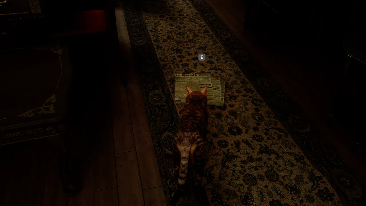 Meowmories Screenshot 1