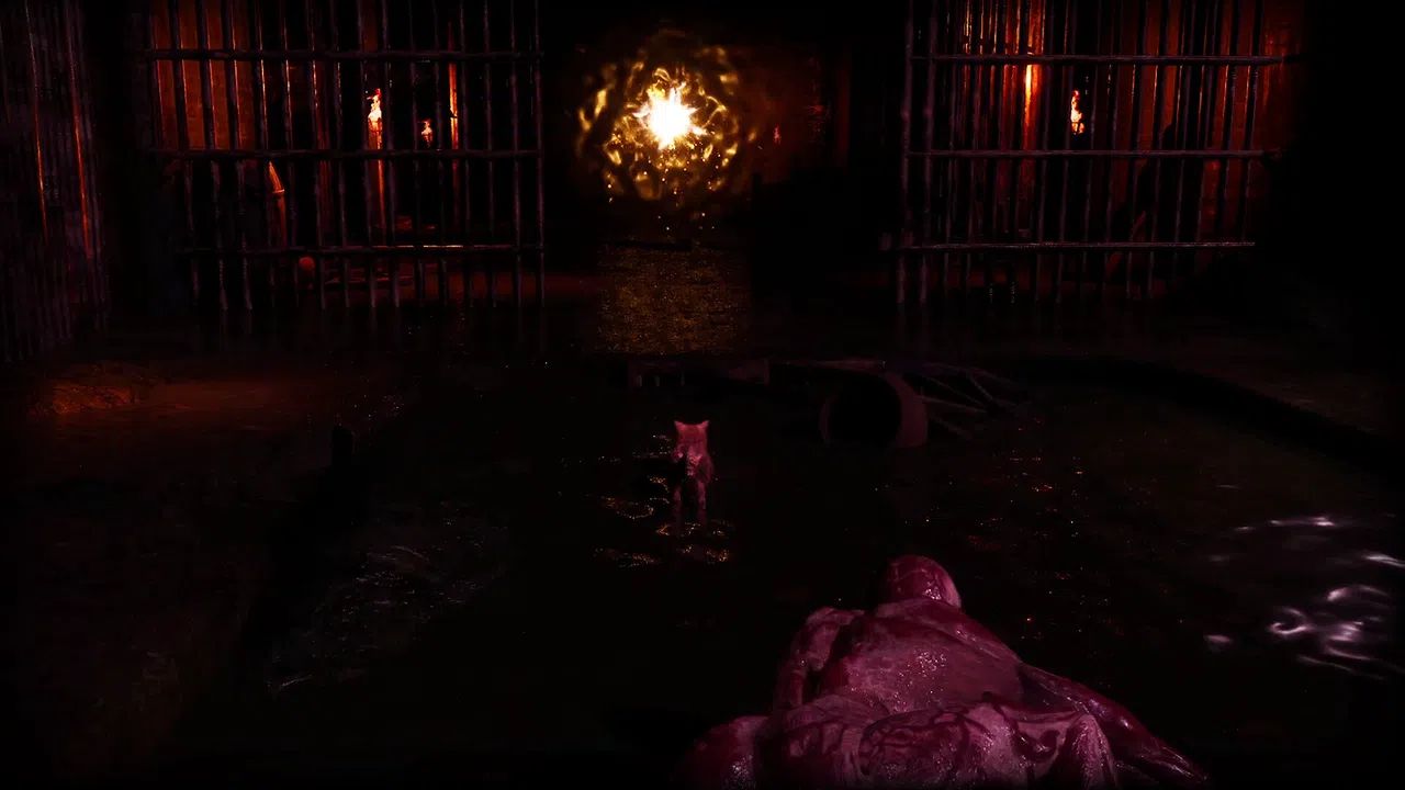 Meowmories Screenshot 0