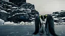 Tundra Screenshot 1
