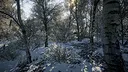 Tundra Screenshot 2