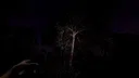 The Remains of Dahlia Screenshot 3