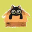 The Box - Normal icon