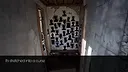 Blind Dog Screenshot 4