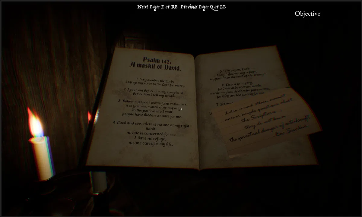 1711 Ireland: A Witch's Fate Screenshot 4