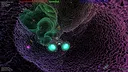 Nightork Adventures 3 - Arena Screenshot 6