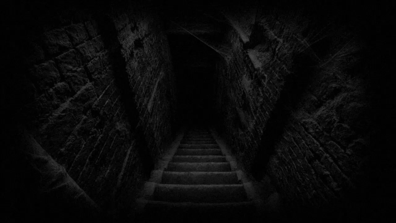 WITHER Screenshot 4