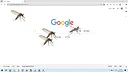 mosquito Screenshot 4