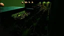 L`s In Eggs Demo Screenshot 1
