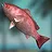 Lots Of Fish In The Sea