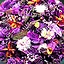 Medicinal Purposes Only icon
